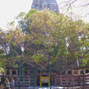 Bodh Gaya - 2-Day Itinerary