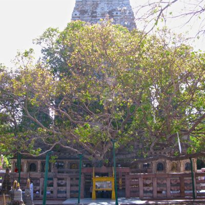 Bodh Gaya - 2-Day Itinerary