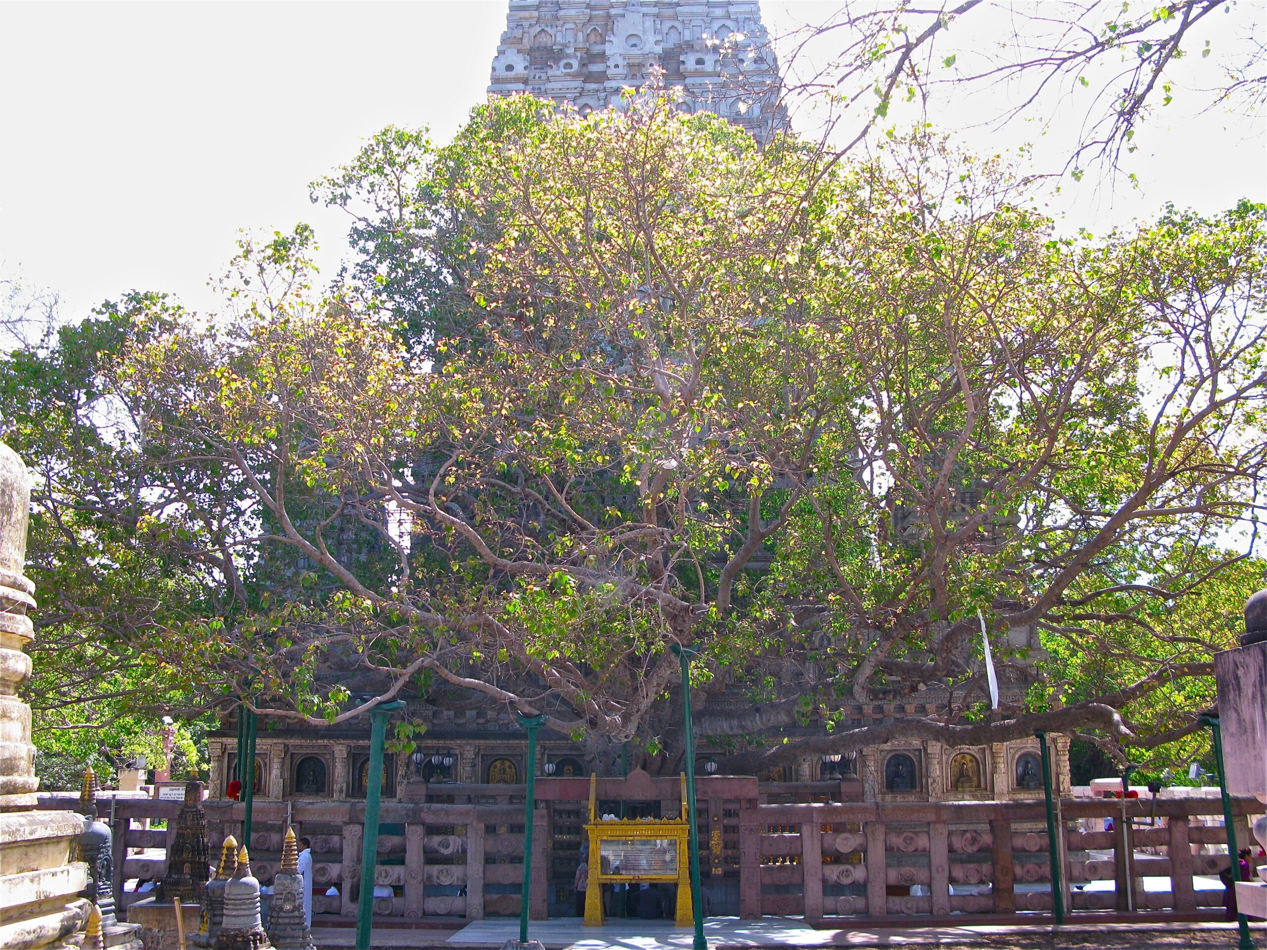 Bodh Gaya - 2-Day Itinerary