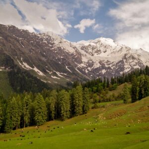 Jibhi - 3-Day Itinerary