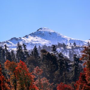 Kedarkantha Trek — 5-Day Itinerary