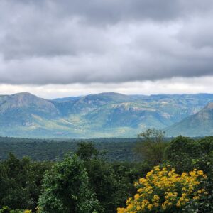Doddabetta and Abbey Vari Waterfall Trek - 1-Day Itinerary