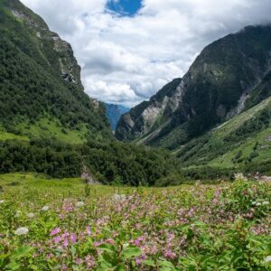 Valley of Flowers Trek — 6-Day Itinerary