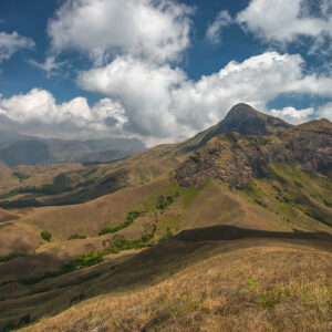 Coorg Nelji Hill Trek - 1-Day Itinerary