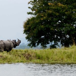 Kaziranga - 2-Day Itinerary