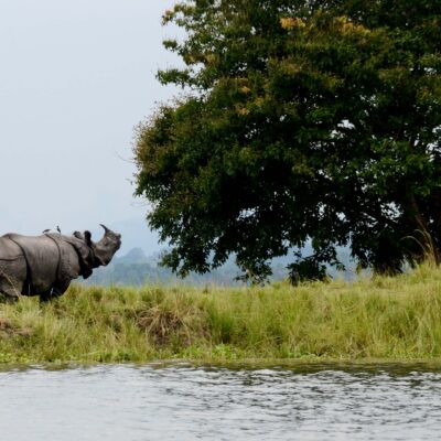 Kaziranga - 2-Day Itinerary