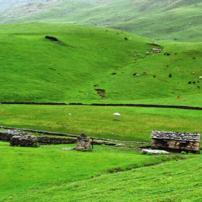 Ali Bedni Bugyal Trek - 4-Day Itinerary