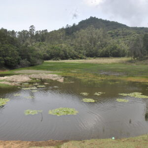 Kodaikanal - 3-Day Itinerary