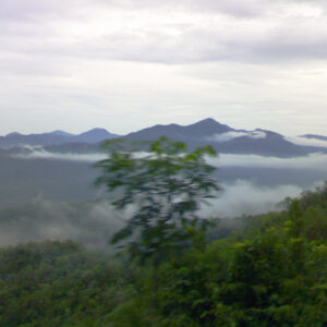 Deomali - 2-Day Itinerary