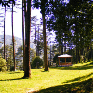 Kanatal - 2-Day Itinerary