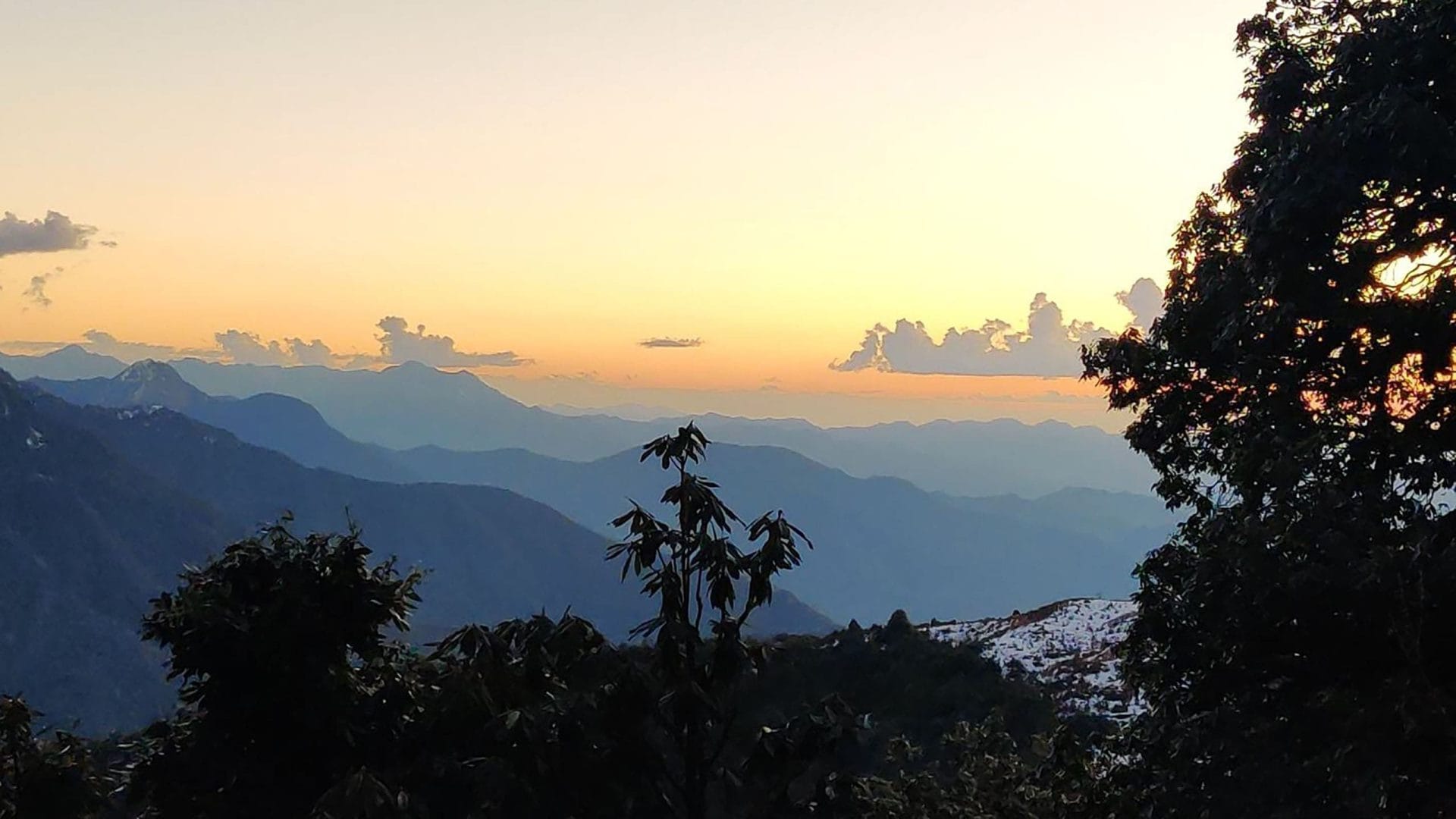 Golden Hour in Chopta