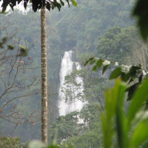 Kemmanagundi - 2-Day Itinerary