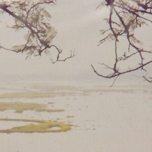 Loktak Lake - 2-Day Itinerary
