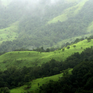 Kudremukh Trek - 2-Day Itinerary