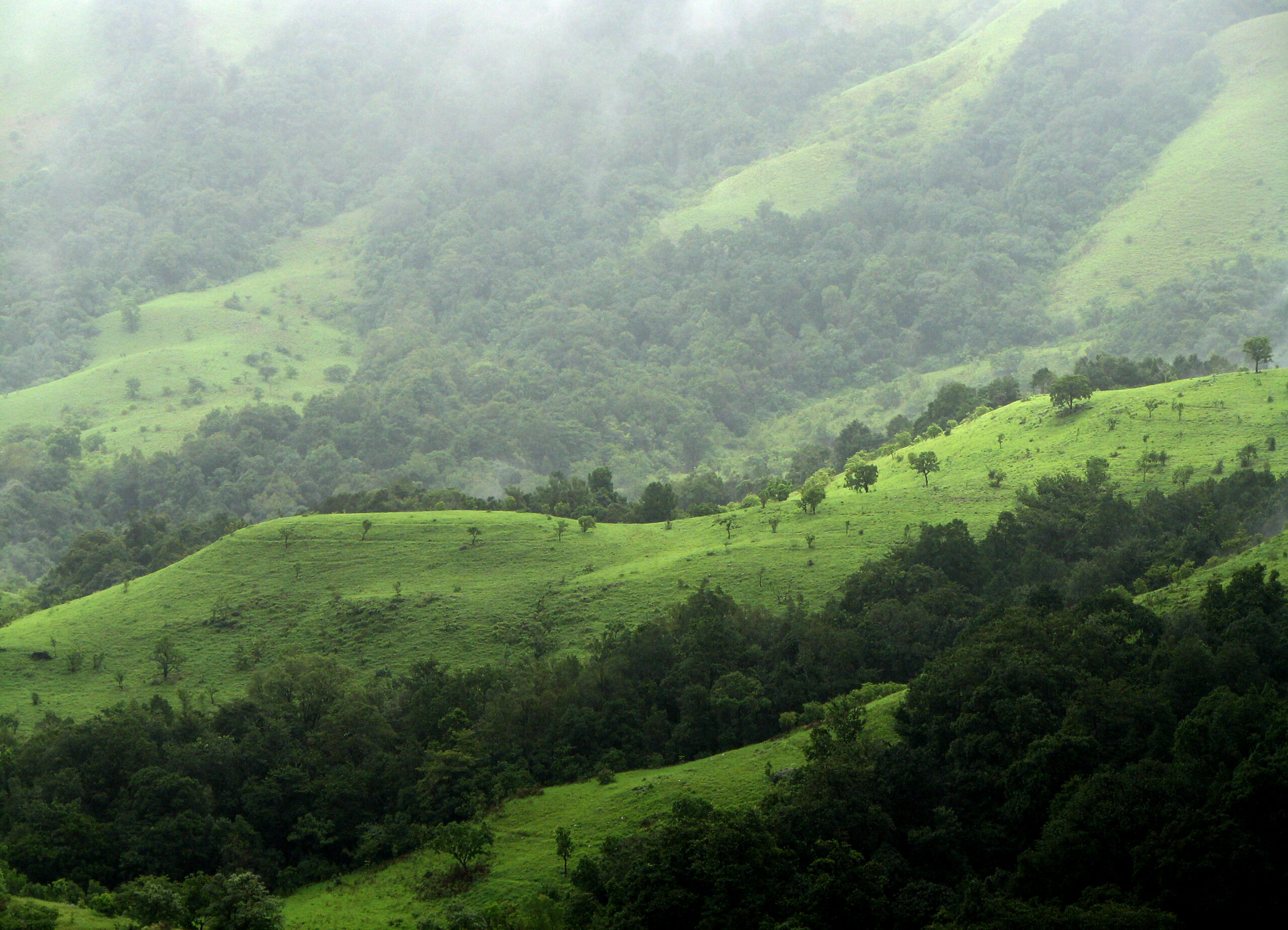 Kudremukh Trek - 2-Day Itinerary