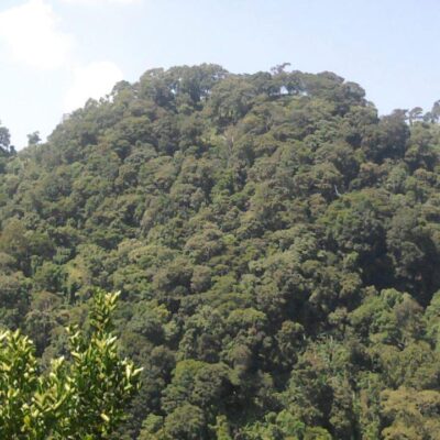 Jampui Hills - 2-Day Itinerary