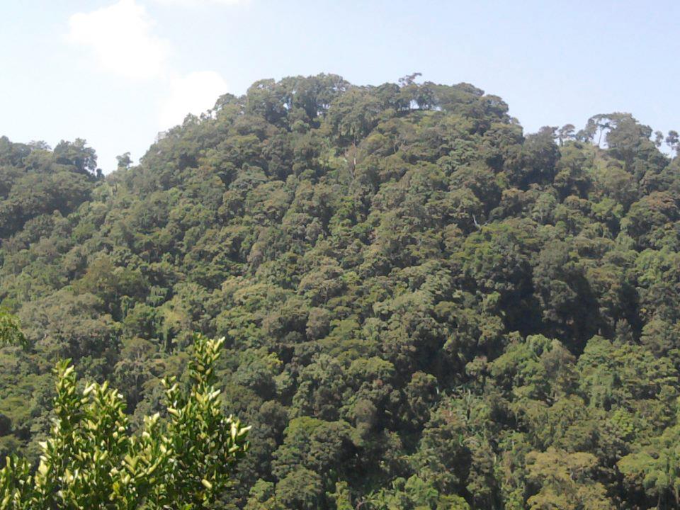 Jampui Hills - 2-Day Itinerary