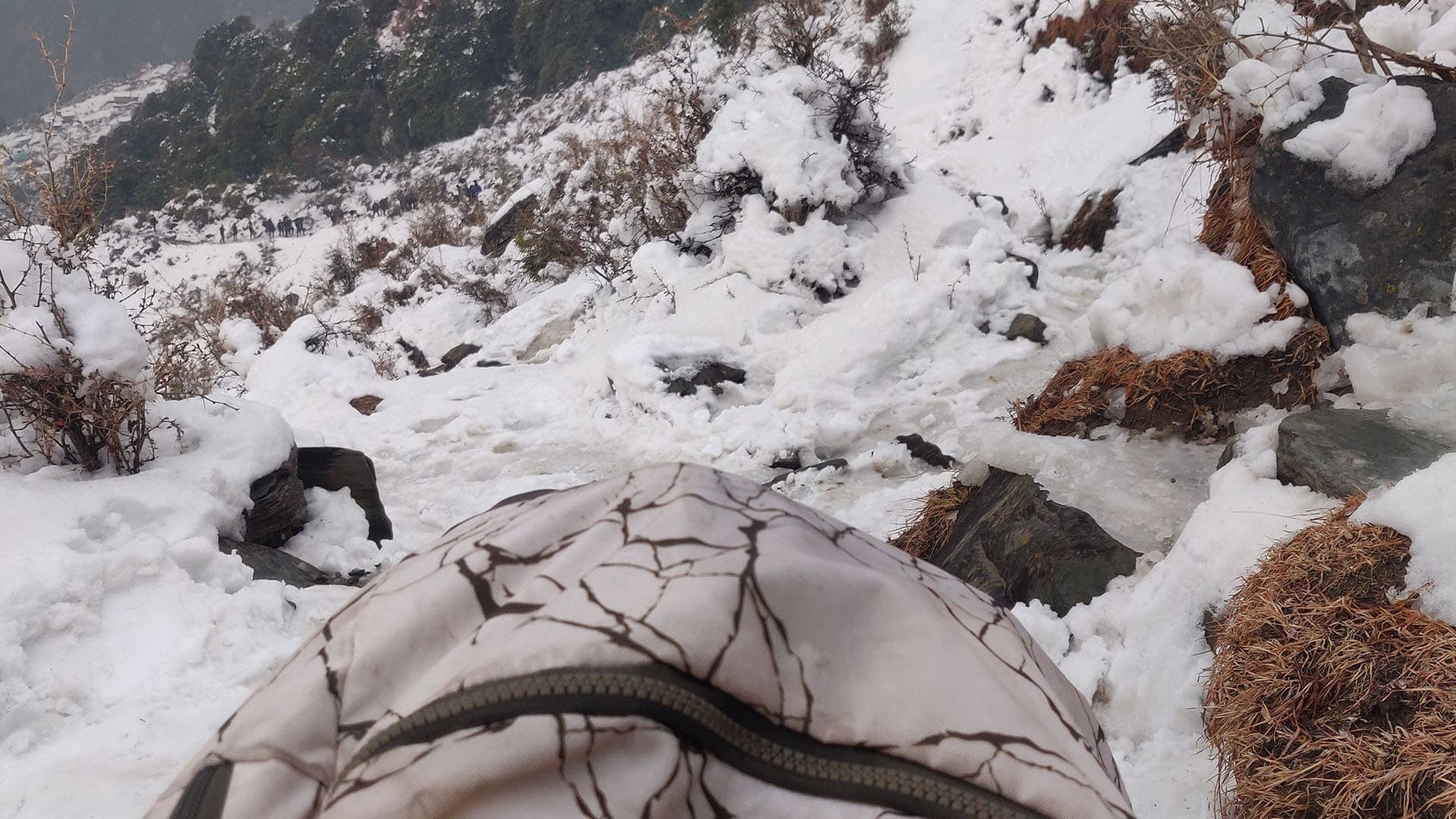 Trekking in Fresh Snowfall on Triund Trek