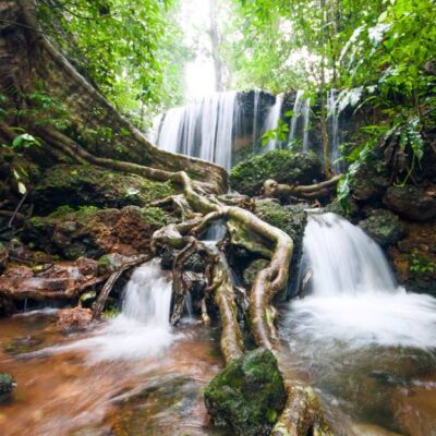 Agumbe - 2-Day Itinerary
