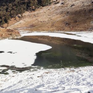 Brahmatal Trek - 5-Day Itinerary