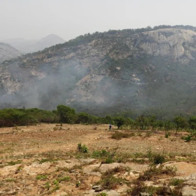 Horagina Betta Trek - 1-Day Itinerary